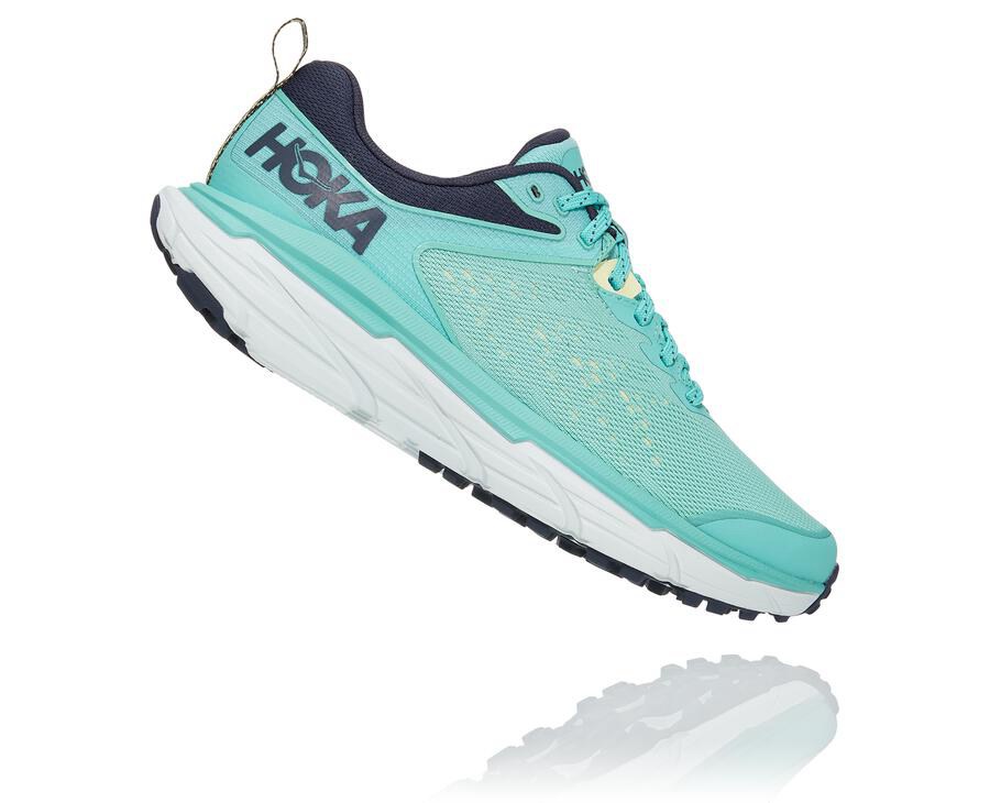 Hoka One One Trailove Tenisky Damske Modre/Biele - Challenger ATR 6 - 86154-EWGB